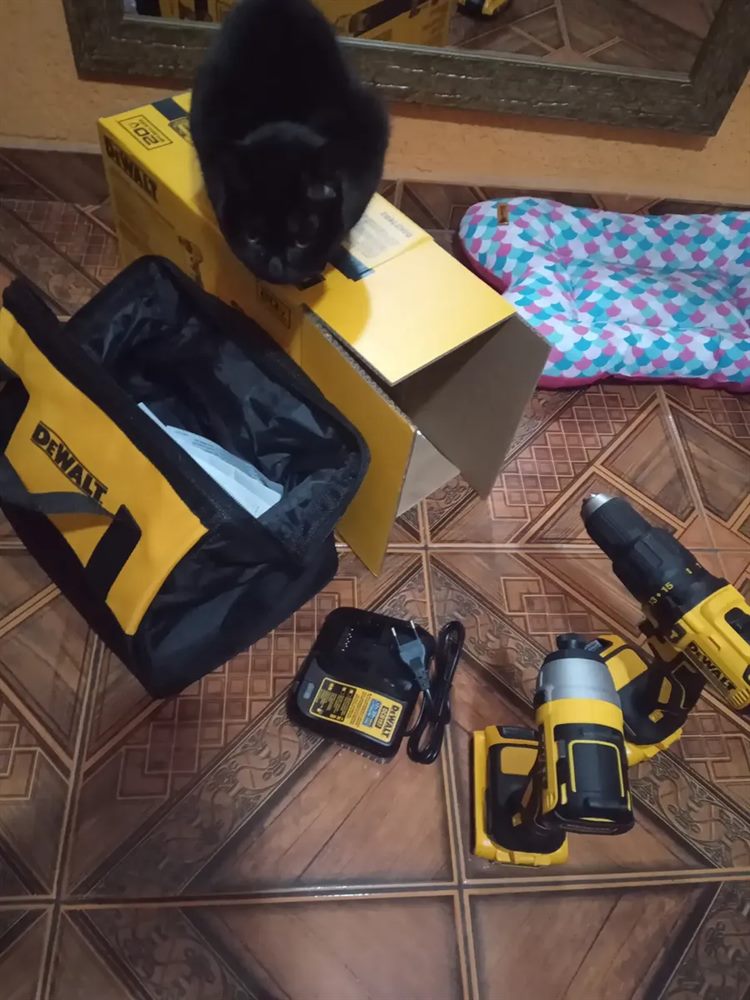Kit DeWalt completo recebido pelo cliente